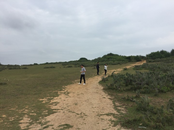 Ngày 2 khu tôi thấy hoa vàng