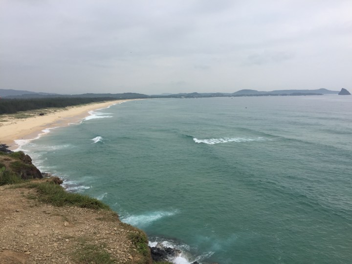 Tôi thấy hoa vàng