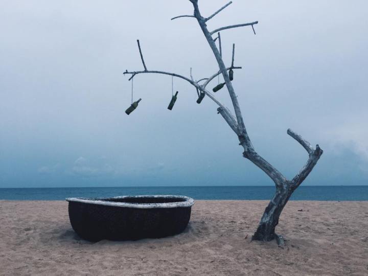 13508975_1030433587004971_6985706123232451929_n