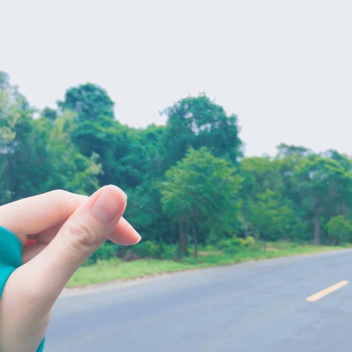 13509118_801384866663068_2209097457409987397_n