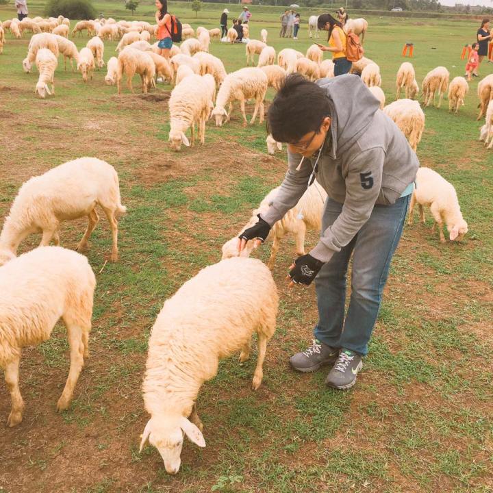 13516627_801384713329750_752909089630714355_n