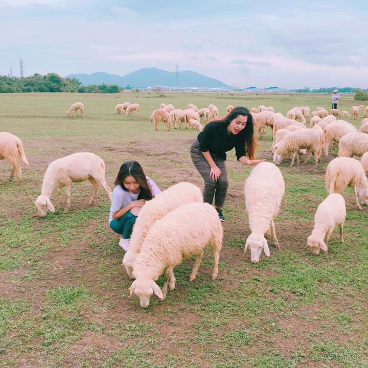 13529228_801384753329746_6803939699201669302_n